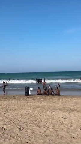 The video shows a wide shot of a sandy beach with the ocean and a clear blue sky. Several people are visible in the water, swimming and playing in the waves. On the sand, closer to the foreground, a group of people are sitting together. Further down the beach, more people are walking along the shore. A single cow is also present on the sand, standing near a cluster of palm trees and buildings that appear to be part of a beach resort or village. The waves are moderate, and the overall atmosphere seems relaxed and sunny.