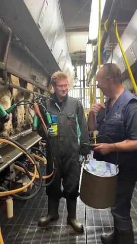 The video shows two men in a milking parlor. The man on the left is younger, wearing black overalls and rubber boots, and holding a yellow and blue milking cluster. He has glasses and is smiling. The man on the right is older, wearing a blue vest over a dark shirt and jeans, and rubber boots. He is holding a metal bucket with blue cloths inside and a black object that appears to be a tool. He is smiling and has his hand on the younger man's shoulder. The background shows a row of milking equipment attached to cows, with hoses and pipes visible. The floor is a metal grate, and the ceiling has fluorescent lights and yellow pipes. The overall environment appears to be a functioning dairy farm operation.