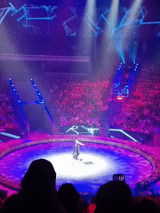 Moscow State Circus performances and surrounding area activities