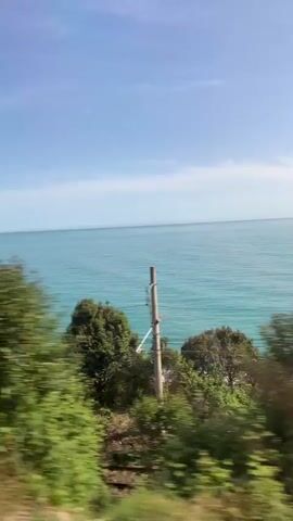 The video shows a view of the ocean from a moving train. The water is a light turquoise color and the sky is blue with a few white clouds. There are trees and bushes along the coastline. A telephone pole passes by the window.