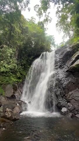 The video shows a waterfall in a jungle environment. Water cascades down a rocky cliff face surrounded by lush green vegetation and trees. At the bottom of the waterfall, there is a pool of water. The sky is visible through the trees at the top of the frame. The video is shot vertically.