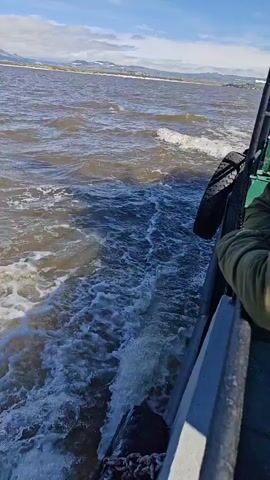 A video taken from the perspective of someone on a boat shows a wake trailing behind it. The water is choppy, and a tire is visible on the side of the boat. In the distance, there is a shoreline with snow-capped mountains under a blue sky with some clouds.