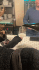Bar patron captures bartender moment in Paris
