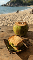 Beachside coconut and sandwich meal documented in Thailand