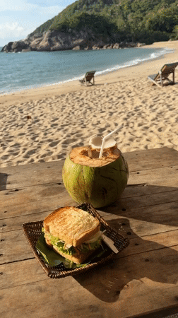 Beachside coconut and sandwich meal documented in Thailand