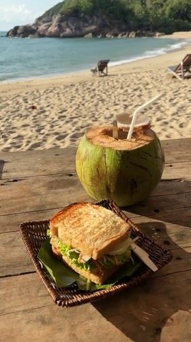 Beachside coconut and sandwich meal documented in Thailand