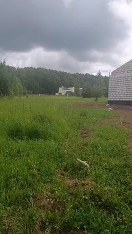 The video shows an outdoor scene with a cloudy sky and a grassy field. On the right side of the frame, a portion of a brick building is visible. In the background, there is a forest with trees, and a light-colored building can be seen amongst the trees. The grass in the foreground is tall and appears somewhat overgrown. There is a fallen white object, possibly a piece of wood or plastic, lying in the grass. The overall impression is that of a rural or undeveloped area under a heavy sky.