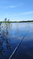 Early morning fishing documented along Chaikovsky waterfront
