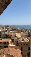 Tourist captures aerial views of Palma from cathedral vantage point