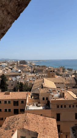 Tourist captures aerial views of Palma from cathedral vantage point