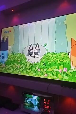 A television screen displays an episode of the animated children's program "Bluey" from Disney Jr. The scene shows the characters Bluey, Bingo, and Muffin. Muffin is sitting in a salad bowl. The characters are standing in a cartoon-like environment, amidst green leafy plants and flowers with white, pillar-like shapes in the background. Below the television, there is a desk or shelf-like surface with a digital clock and other electronic devices. The room is illuminated by green and blue LED lights.