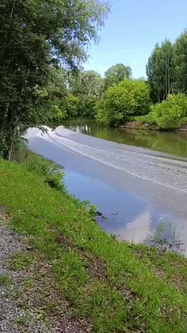 This video captures a tranquil scene on a river bordered by lush green grass and dense trees under a bright, sunny sky. The water is calm, reflecting the blue sky and white clouds, with gentle ripples extending from a boat that is out of frame, leaving a white wake. The vegetation is vibrant, suggesting a warm, pleasant day, likely in the late spring or summer. The overall atmosphere is peaceful and serene, evoking a sense of natural beauty and calm. The location is identified as Sdt Shcherbakovka, Russia, placing the scene in a rural or semi-rural setting within that region. No text is visible in the video.