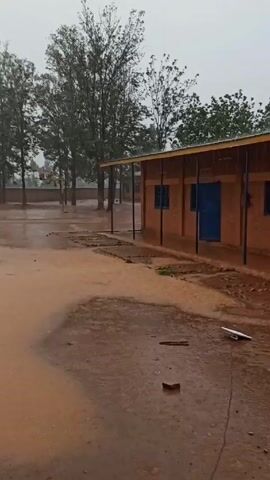 The video shows heavy rain inundating an outdoor area, likely a schoolyard or similar communal space. The ground is mostly dirt and mud, now saturated with water, forming large puddles. A single-story brick building stands on the right side of the frame with a covered porch supported by black pillars. The building has several blue-framed windows and a blue door. In the background, a basketball court is visible with several tall, bare trees standing behind it, as well as a wall enclosing the space. The sky is overcast and grey, emphasizing the gloomy weather conditions. The camera appears to be positioned inside a building or under a shelter, offering a view of the heavy downpour outside.