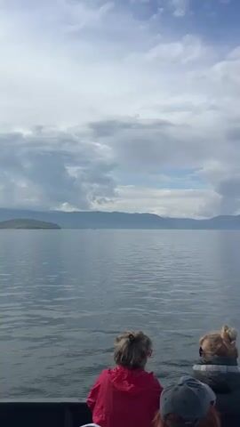 A group of people are on a boat, looking out at a large body of water. The water is calm, and the sky is partly cloudy. In the distance, there are mountains. The people are casually dressed, and some are wearing hats. The camera is positioned behind the people, looking forward. The video appears to be shot on a cloudy day, but there are patches of blue sky visible. The boat is moving, as evidenced by the slight sway of the water.