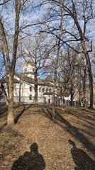 Church building filmed through trees in Samara, Russia