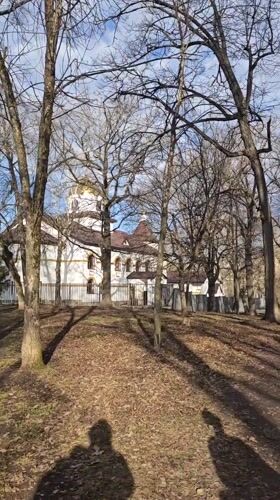 Church building filmed through trees in Samara, Russia
