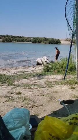 This video captures a serene lakeside scene in Syrdarya, Uzbekistan, on a bright, sunny day. The clear blue sky suggests fair weather. In the foreground, there are several objects, including a yellow plastic bag with some visible text, a white plastic bag, and what appears to be part of a fishing net and a handle from a fishing rod or equipment.

The middle ground of the image shows a sandy bank bordering a calm, blue body of water. A fishing rod is planted in the ground near the water's edge, indicating an activity of fishing. Further into the water, there is a large, beige-colored object covered with a tarp, partially submerged. A person, likely a man wearing a hat and shorts, is standing near this object, looking out towards the water. The lush green vegetation along the opposite bank of the lake provides a natural backdrop. The overall atmosphere is peaceful and relaxed, typical of a leisurely day spent by the water.