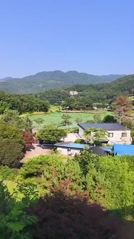 The video shows an aerial view of a rural landscape. The sky is clear and blue. In the foreground, there are lush green trees and some smaller trees with red foliage. A few houses with white walls and blue or dark roofs are visible among the trees. Further in the background, there is a large field of green lily pads or lotus flowers, suggesting a pond or marsh. Beyond the field, rolling green hills and mountains covered in trees extend into the distance. A single building, possibly a hotel or larger house, is visible on one of the hills. The overall impression is a peaceful, natural setting on a sunny day.
