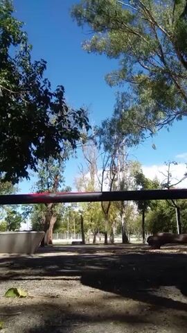 A shirtless man in red shoes and gray shorts does push-ups on a black and red bar. The bar is set low to the ground in a park or recreational area with trees and a clear blue sky visible in the background. The ground is covered in gravel and fallen leaves. The man looks directly at the camera while doing the push-ups.