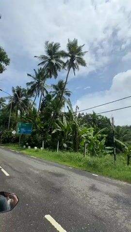 The video shows a first-person perspective of someone driving a blue and black moped down a paved road. The road is bordered by green vegetation, including palm trees and banana trees. There are occasional buildings visible, mostly old and yellow, on the side of the road. The sky is blue with scattered clouds. The camera is stable, and the video is shot in daylight. A road sign can be seen briefly at the start.