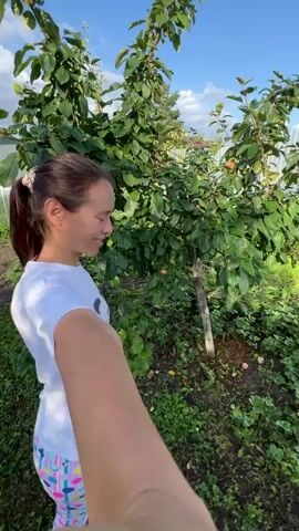 A woman is in a garden, picking apples from a tree and then picking strawberries from a patch. The woman is wearing a white t-shirt and colorful leggings. She is crouched down in the garden, holding a few apples to her face. The garden is filled with green plants and has a fence in the background.