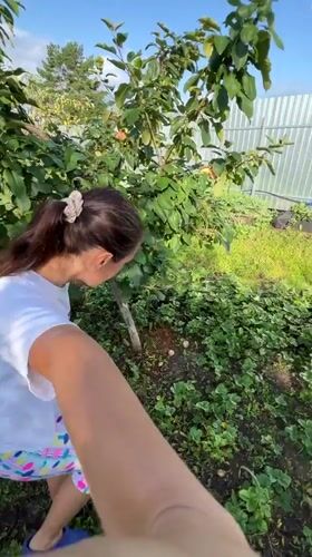 Garden harvest, blooming hydrangeas, and fresh pirozhki in Pivkino