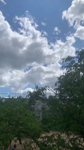 The video shows a view of the sky through trees and buildings. The sky is blue with scattered white clouds. In the foreground, there are green trees with leaves. Behind the trees, a building with several floors can be seen. The lighting suggests it is daytime. There are no people or animals visible in the frame.