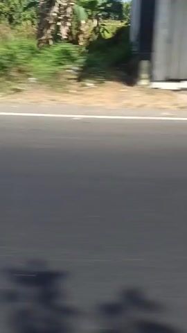 The video shows a view from a moving vehicle. The foreground is dominated by a grey asphalt road with a white line on the left side. The background is a blur of green foliage and trees. At approximately 00:01, a white motorcycle with a rider wearing an orange shirt is briefly visible passing by. Behind the motorcycle, a building with a white facade and dark windows can be seen. The camera continues to move, and at around 00:03, more buildings with blue roll-up doors appear. The overall impression is that of a roadside view from a vehicle traveling at speed.
