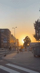Golden hour hangout on an Amsterdam street with dogs and selfies