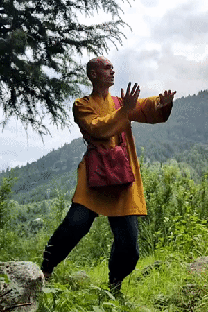 Martial arts practice session in Bahang's mountain forests