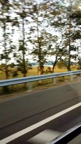 This is a video captured from a moving vehicle, likely a car or bus, looking out a side window. The primary focus is the blurred landscape passing by. Tall, slender trees with sparse foliage line the side of a road, with a metal guardrail visible separating the road from the area beyond. A paved road with white lane markings is in the foreground. In the distance, a long, low-rise building with a blue roof is visible, set against a hazy sky. The overall impression is one of travel and the fleeting scenery of a rural or semi-rural environment. There are no people or specific actions identifiable due to the motion blur.