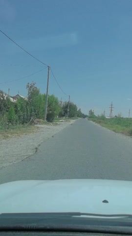The video is a first-person perspective from inside a vehicle. It shows a paved road stretching into the distance under a clear blue sky. On the left side of the road, there is a dirt shoulder with some vegetation, trees, and a few houses. Telephone poles and wires run along the side of the road. On the right side of the road, there is a field of green vegetation and some distant power lines. The vehicle appears to be in motion, moving forward along the road. There are no people visible in the frame. The lighting suggests it is daytime.