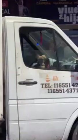 The video shows a small brown dog sitting in the driver's seat of a white van. The dog is wearing a purple harness and looking at the camera. The van has a sign on the side with the words "Electric Fix" and a telephone number. The camera then pans away from the van and focuses on a young woman walking down a city street at night. The woman is smiling and wearing a black shirt, a white cardigan, and jeans. The street is lined with buildings and there are some motorcycles parked on the side of the road.