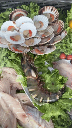 Tourist captures Funchal seafood market and coastal scenes