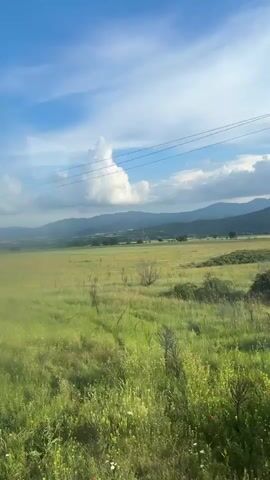The video captures a scenic view of the countryside, likely from a moving vehicle, possibly a train or car. The foreground is dominated by vibrant green fields, interspersed with patches of red wildflowers, which blur due to the motion. In the midground, the expansive fields continue, leading to a horizon dotted with distant mountains under a bright blue sky. Fluffy white clouds are scattered across the sky, with one particularly prominent, tall cloud formation. Several utility poles and power lines traverse the landscape, adding a man-made element to the natural scenery. The overall impression is one of peaceful, open spaces under a clear, sunny sky, typical of a rural area like Karnare, Bulgaria. No people or visible text are present in the video.