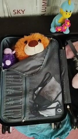 The video shows an open suitcase filled with stuffed animals. A plush lion is in the left side of the suitcase. A large pink plush bunny is in the right side of the suitcase with a smaller plush bunny in its arms. There are also two small plush figures visible behind the suitcase. The suitcase contains other items, including a mask and a pink stuffed toy. The background appears to be a wall with text on it, possibly indicating locations like "SKY," "LUMPUR," and "MOSCOW."