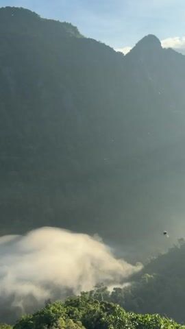 The video shows a mountainous landscape with lush green vegetation and a thick layer of white clouds or mist in a valley below. The sun is shining, creating a hazy effect and illuminating the scene from the right side. The sky above is clear blue with a few wispy clouds. There are some small, dark flying insects visible in the upper part of the frame. The overall impression is one of a serene and natural environment.