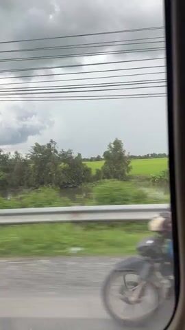 A side view from a vehicle shows a natural landscape. The foreground consists of a road surface, a white guardrail, and lush green grass. Beyond the guardrail, there is a body of water reflecting the sky, bordered by trees and vegetation. In the background, a vast green field stretches towards the horizon under a cloudy sky. Overhead, several black power lines are visible. The image is somewhat blurred due to motion.