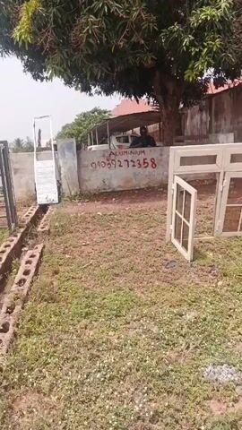 The camera is held still, capturing a scene that appears to be an outdoor workspace or storage area for an aluminum fabrication business. In the foreground is a patch of grass and dirt. To the right is a white aluminum window frame lying on the ground with one of its casements open. Behind the window frame is a low concrete wall on which the word "ALUMINIUM" is written, as well as a phone number. Further in the background is a structure that appears to be a covered work area, underneath which two people can be seen. To the left, several sheets of aluminum are leaning against the wall. Adjacent to the sheets is a white aluminum frame, and next to that are a few lines of concrete blocks. A large tree with dense foliage provides shade over the entire area. In the distance, a building with a red roof is visible. The lighting suggests a sunny day.