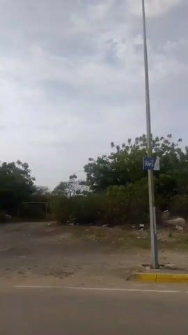 This is a horizontal video of a roadside view with lush green trees and a partly cloudy sky. The camera moves from left to right, revealing a road with yellow lines and a concrete barrier. In the distance, a body of water is visible, along with some buildings and more vegetation. The overall scene suggests a natural landscape with signs of human habitation.