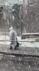 Heavy snowfall blankets Yerevan and Zovuni, Armenia Friday morning