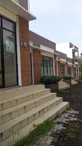 The video shows a two-story building with a modern design, featuring large glass windows and a brown and white facade. Several units are visible, each with a set of stairs leading up to the entrance. The building is situated in an outdoor environment with a paved pathway made of dark interlocking bricks. To the right of the building, there is a lush green hedge and beyond that, palm trees and other vegetation, suggesting a tropical or subtropical setting. The sky is visible and appears to be clear. There are no people or visible interactions depicted in the video. The scene is static with the camera slowly panning to the right.