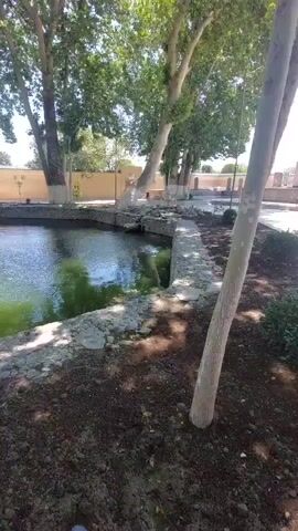 The video shows an outdoor pond surrounded by trees. The pond is somewhat circular, lined with rough stone, and the water has a slight greenish tint.  Bare earth, likely recently disturbed, is visible around the edge of the pond, beneath the trees. The trees are large and provide shade. In the background, a low wall or fence is visible. A light colored vehicle drives by. There is also a brief glimpse of a person in the distance on the left side of the frame. The overall impression is of a park or landscaped area with a pond.