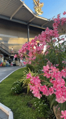 Morning exploring Chaweng's markets, malls, and street scenes