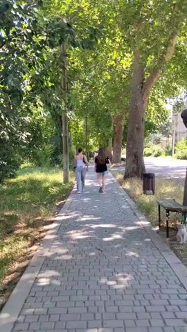 Two young women are walking away from the camera on a paved sidewalk lined with trees. The woman on the left is wearing a white tank top and gray pants. The woman on the right is wearing a black t-shirt and denim shorts. They are walking side by side. Sunlight filters through the leaves of the trees, casting shadows on the sidewalk. A trash can is visible on the right side of the sidewalk. The environment appears to be a park or a tree-lined street.