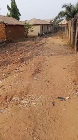 The video shows a dirt road in a rural area. There are several small houses made of brick or mud, with corrugated metal roofs. Some palm trees are visible. The ground is covered in dirt, rocks, and trash. In the beginning of the video, two individuals are walking along the dirt road. The video pans erratically around the setting.