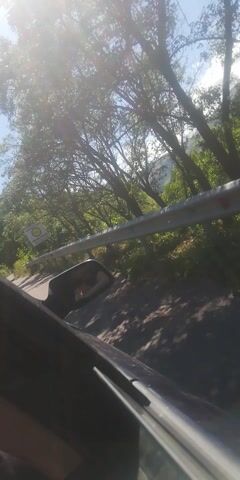 The video shows a view from inside a car, looking out the passenger side. A road and trees are visible outside. A road sign for "MOTEL GRAZIA" can be seen. The car appears to be moving. The video is shaky and the lighting is bright, suggesting it was filmed in daylight with the sun shining. The interior of the car is partially visible, including a seatbelt and part of the dashboard.