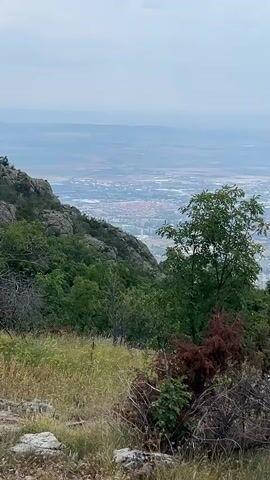The video shows a panoramic view from a hillside overlooking a city. In the foreground, there is dry grass, rocks, and some brush and trees. The middle ground features a steep, vegetated hillside with trees and rocks. The background reveals a sprawling city with buildings and infrastructure, stretching out into the distance under a hazy sky. The lighting suggests it is daytime, possibly overcast.