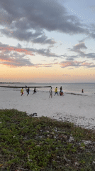 Dar es Salaam at golden hour: beaches, streets, and city life