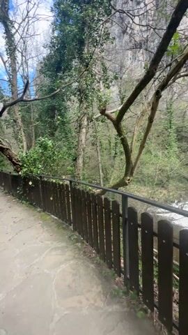 The video shows a riverside landscape with a wooden fence in the foreground. Behind the fence, trees and greenery line the river bank. The river flows vigorously, creating small waterfalls and rapids. The camera pans slightly to reveal more of the river's course and the surrounding forest. The scene is bright with natural light filtering through the trees.